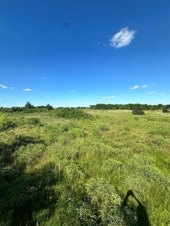 20.58 acres in Cooke County - photo 11