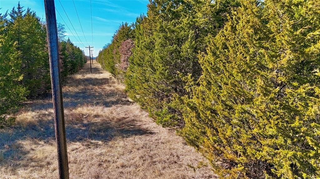 88 acres in Cooke County - photo 27