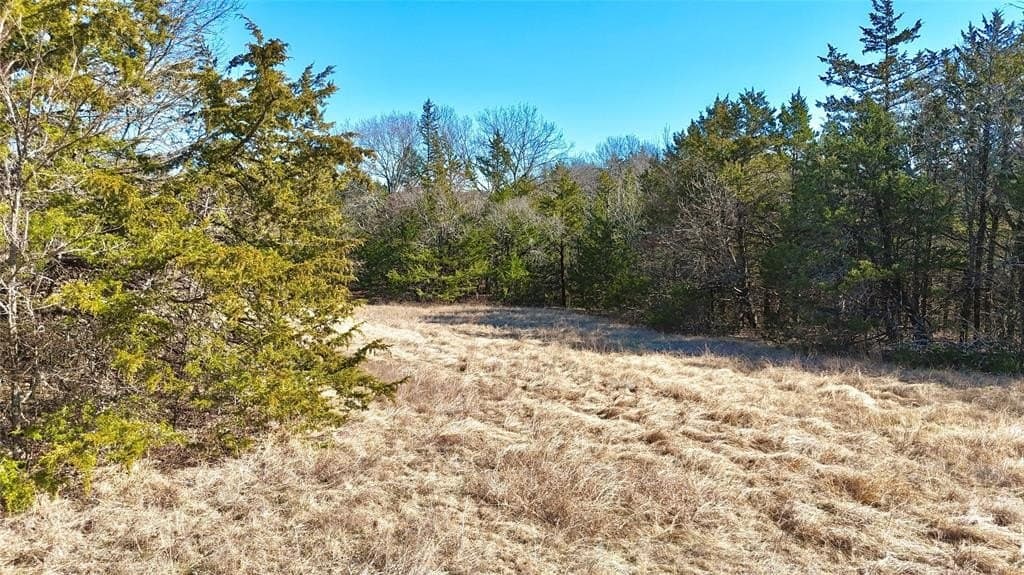 88 acres in Cooke County - photo 22