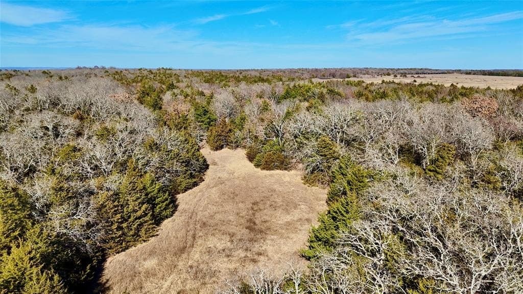 88 acres in Cooke County - photo 7