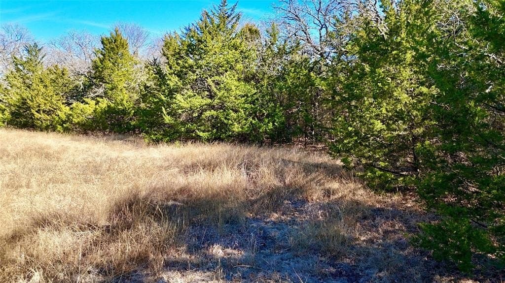 88 acres in Cooke County - photo 13