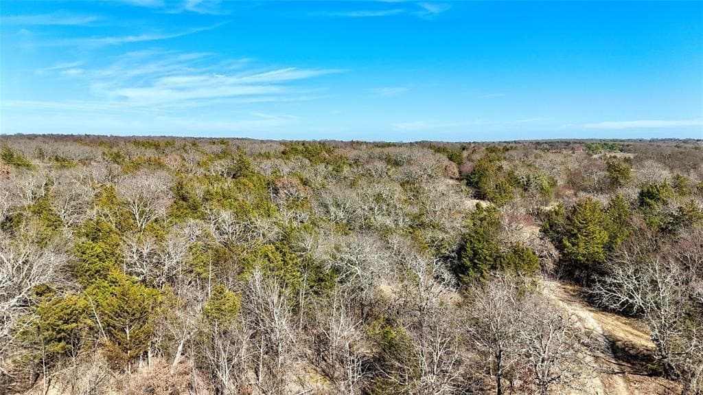 88 acres in Cooke County - photo 19