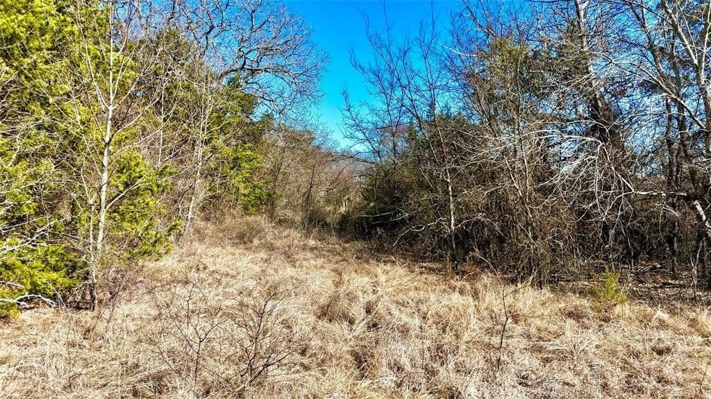 88 acres in Cooke County - photo 24