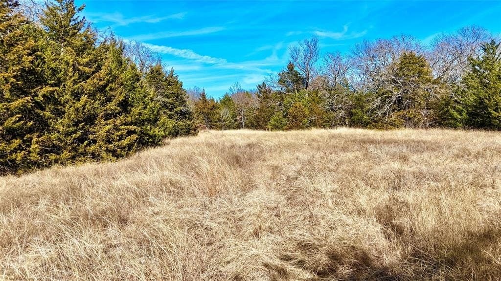 88 acres in Cooke County - photo 15