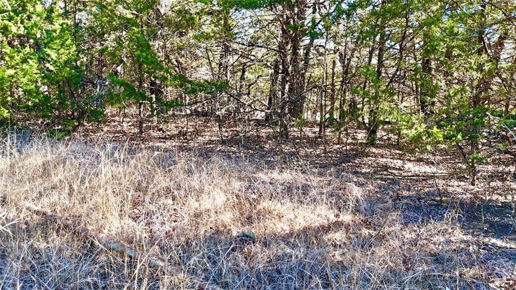 88 acres in Cooke County - photo 10