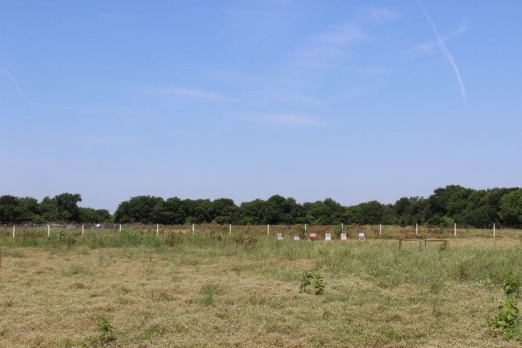 5.2 acres in Grayson County - photo 11