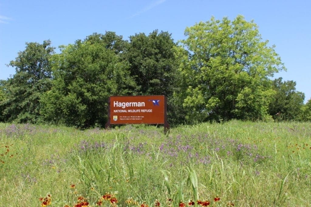 5.2 acres in Grayson County - photo 31