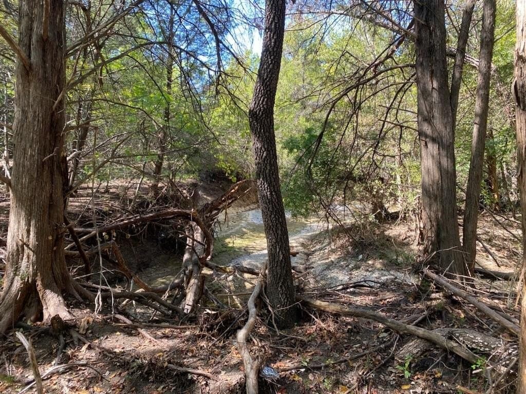 44.94 acres in Dallas County - photo 21
