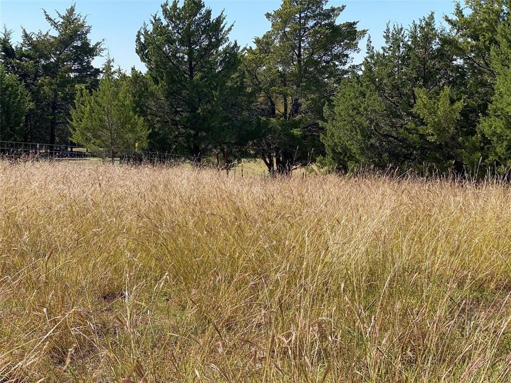 44.94 acres in Dallas County - photo 31