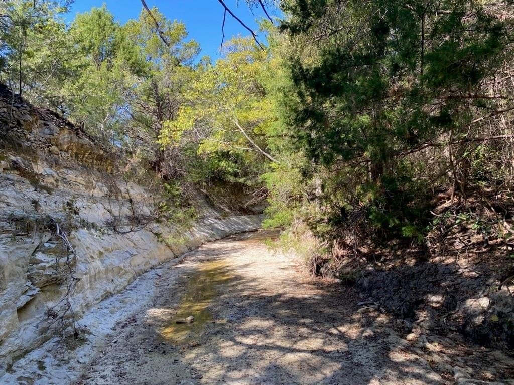 44.94 acres in Dallas County - photo 17