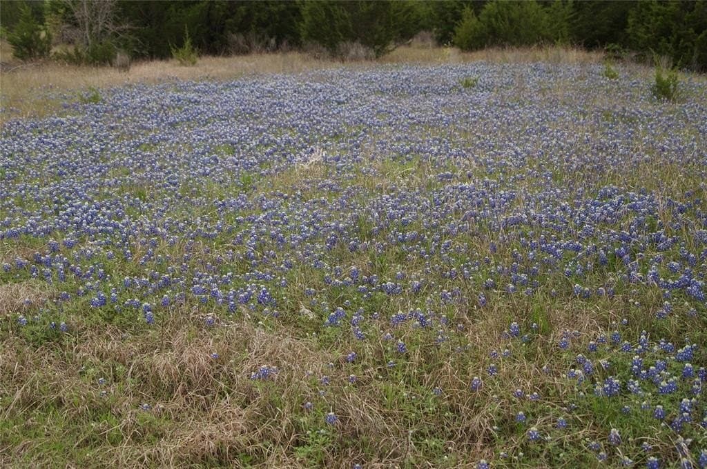 44.94 acres in Dallas County - photo 24