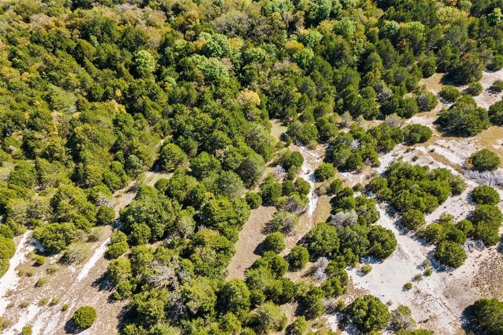 44.94 acres in Dallas County - photo 3