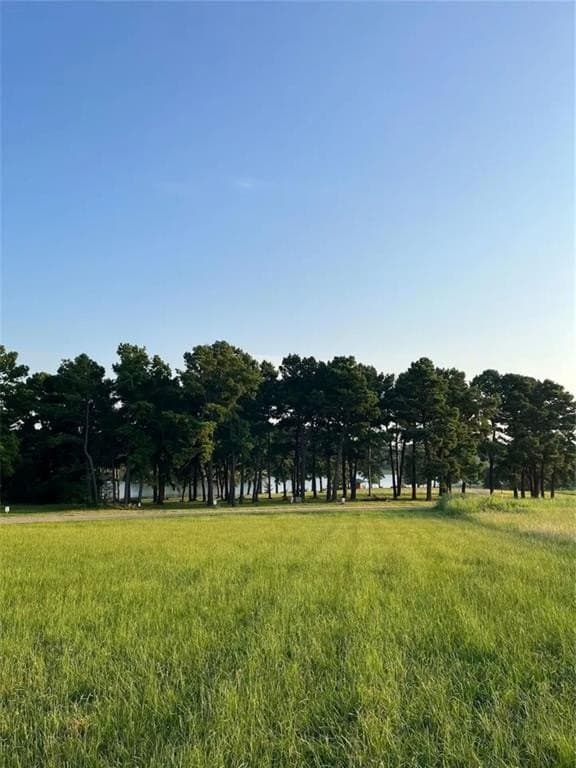 2.58 acres in Camp County - photo 9