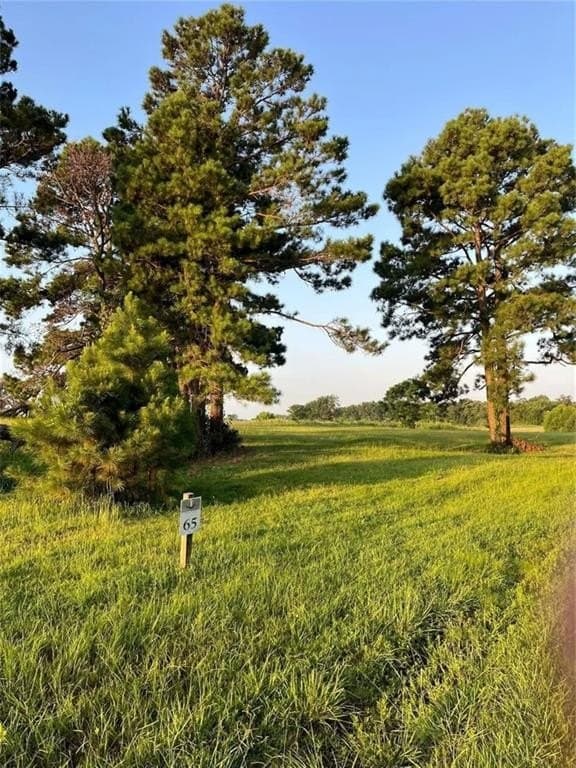 2.58 acres in Camp County - photo 5