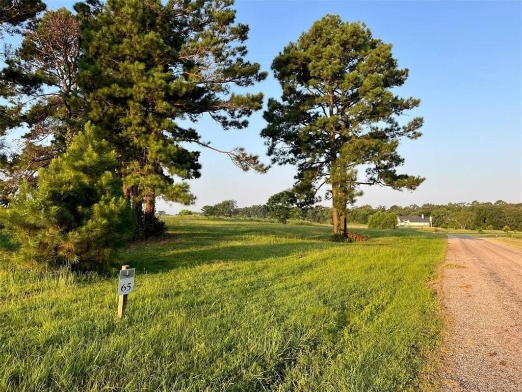 2.58 acres in Camp County - photo 6