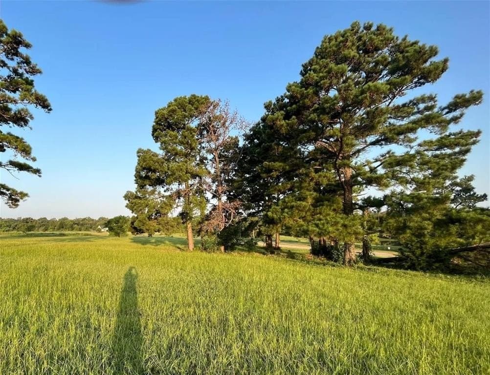 2.58 acres in Camp County - photo 11