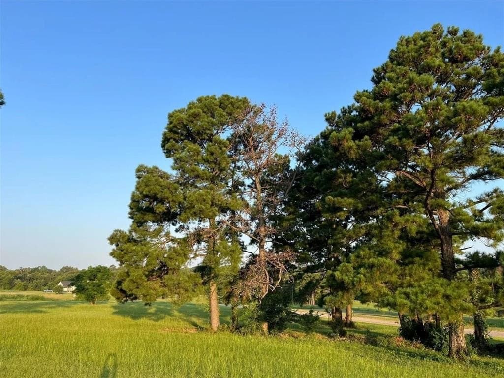 2.58 acres in Camp County - photo 7