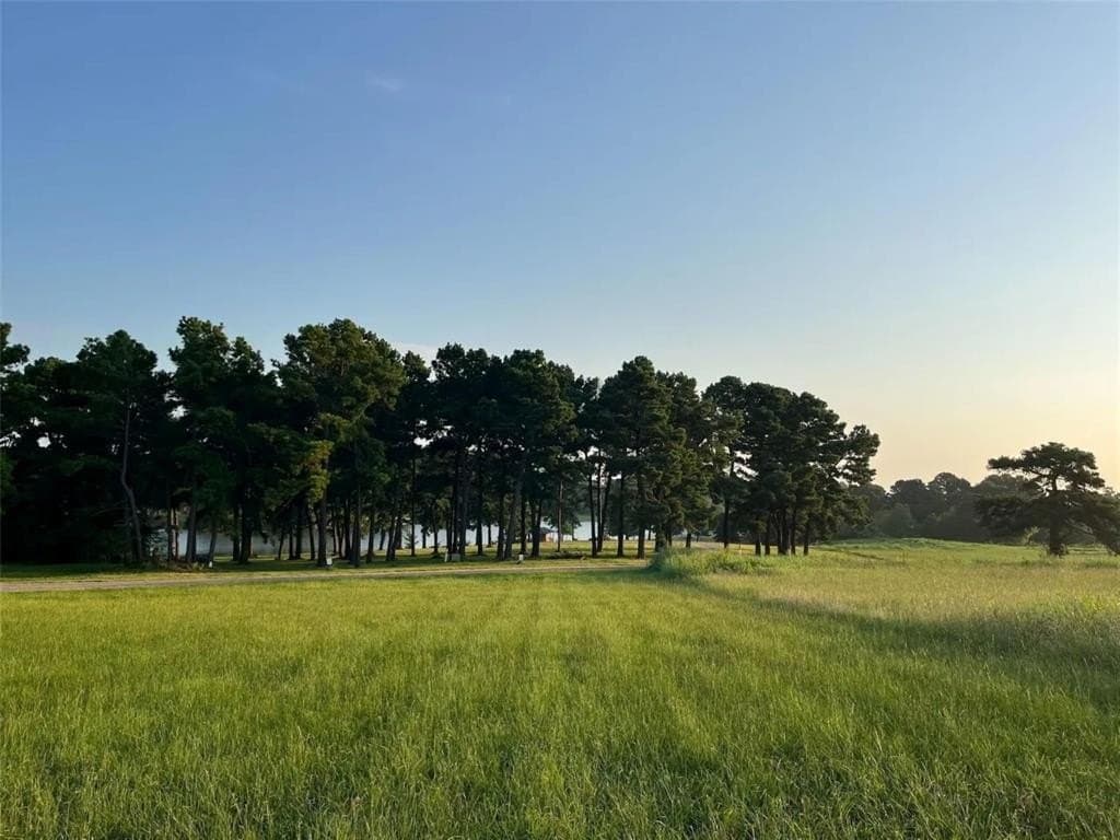 2.58 acres in Camp County - photo 8