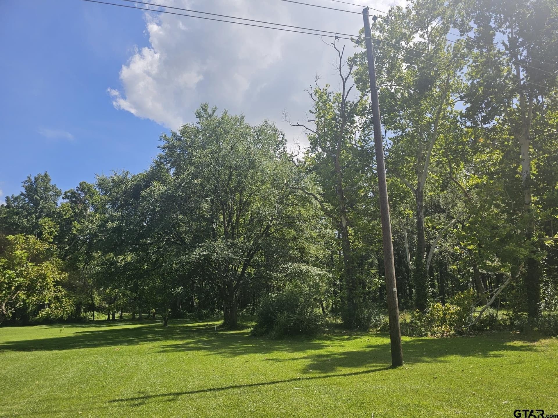 12.02 acres in Rusk County - photo 10
