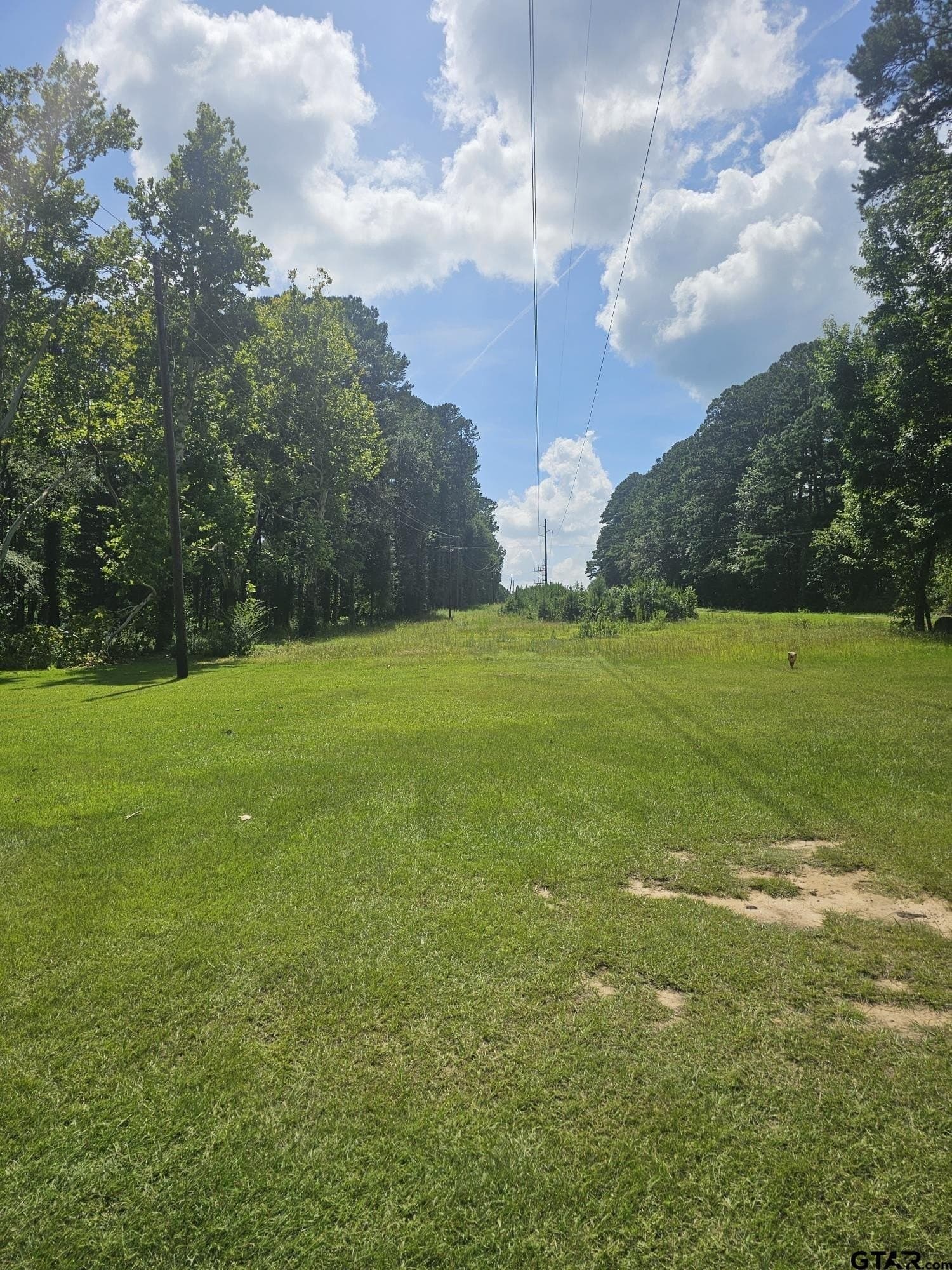 12.02 acres in Rusk County - photo 2