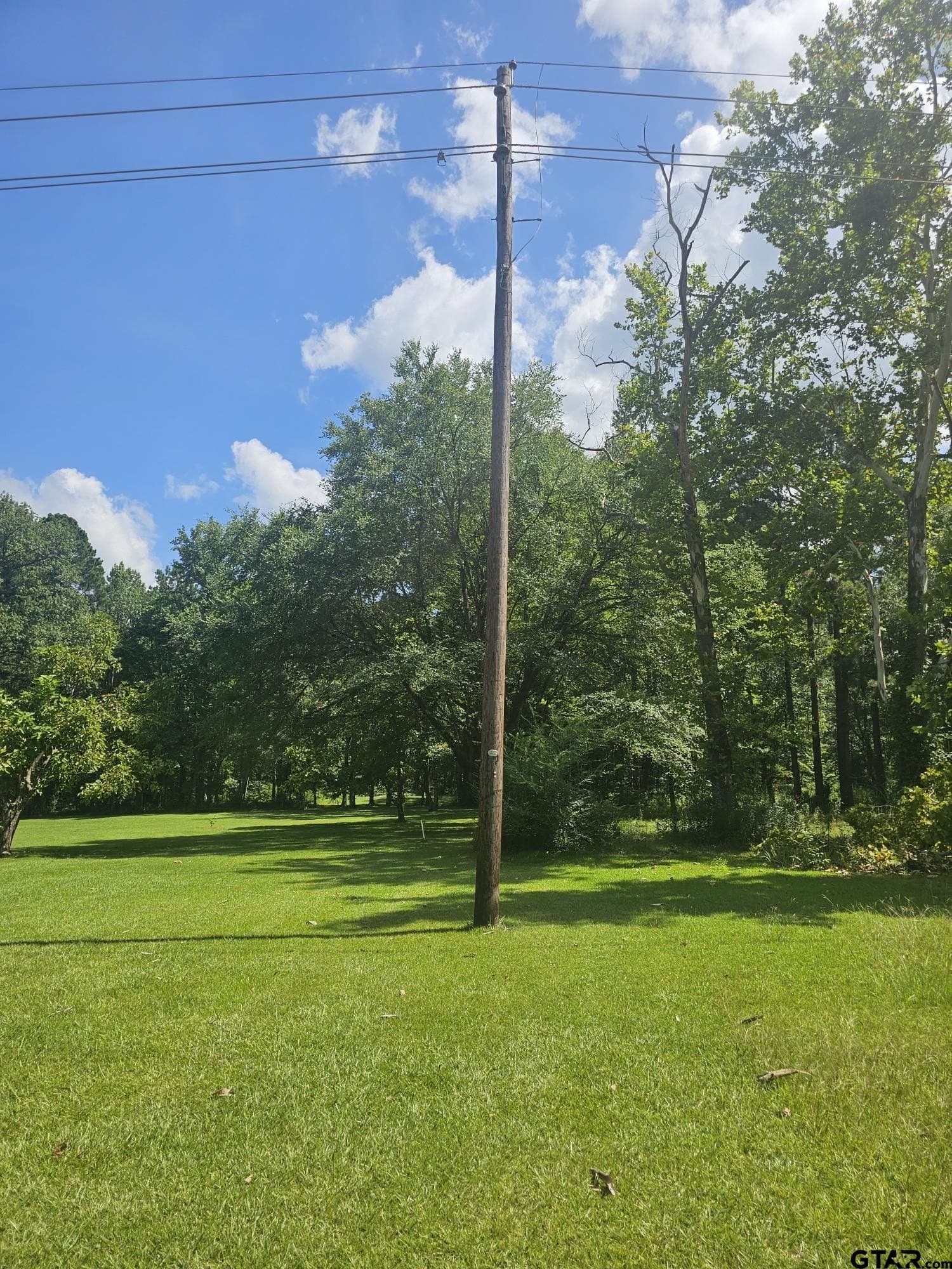 12.02 acres in Rusk County - photo 4