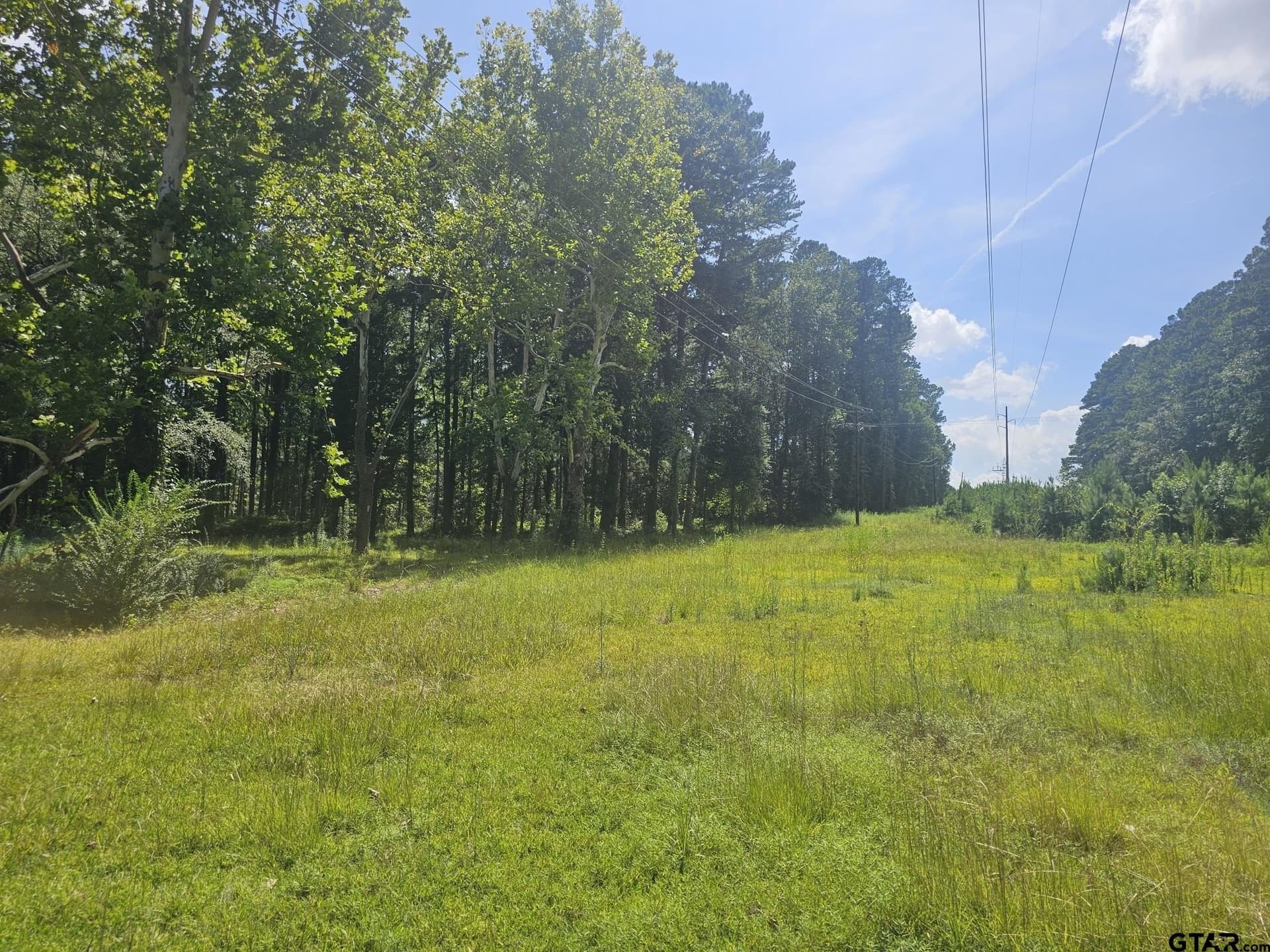 12.02 acres in Rusk County - photo 8