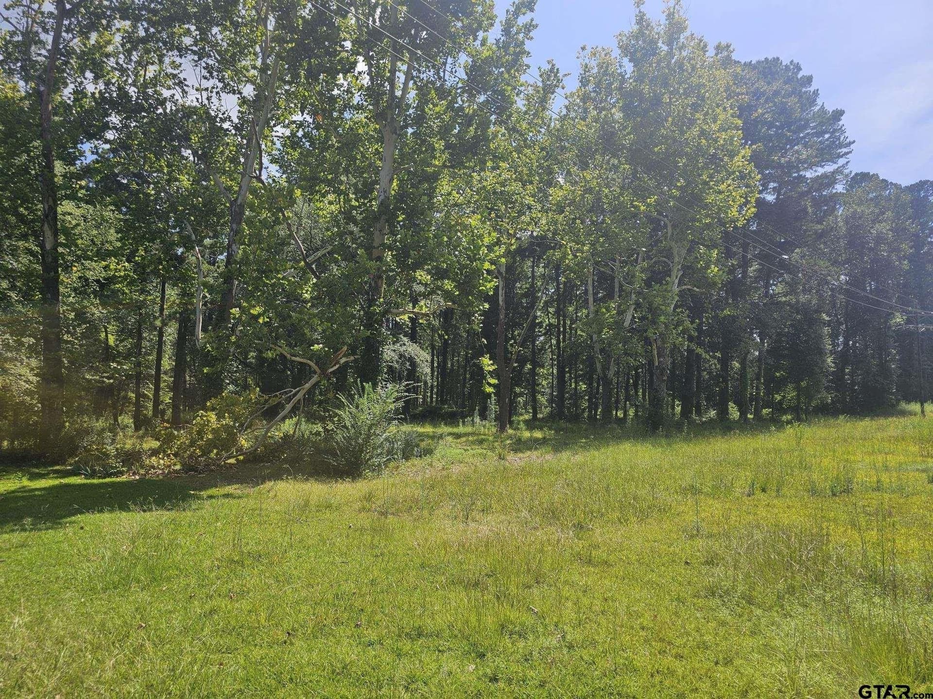 12.02 acres in Rusk County - photo 9