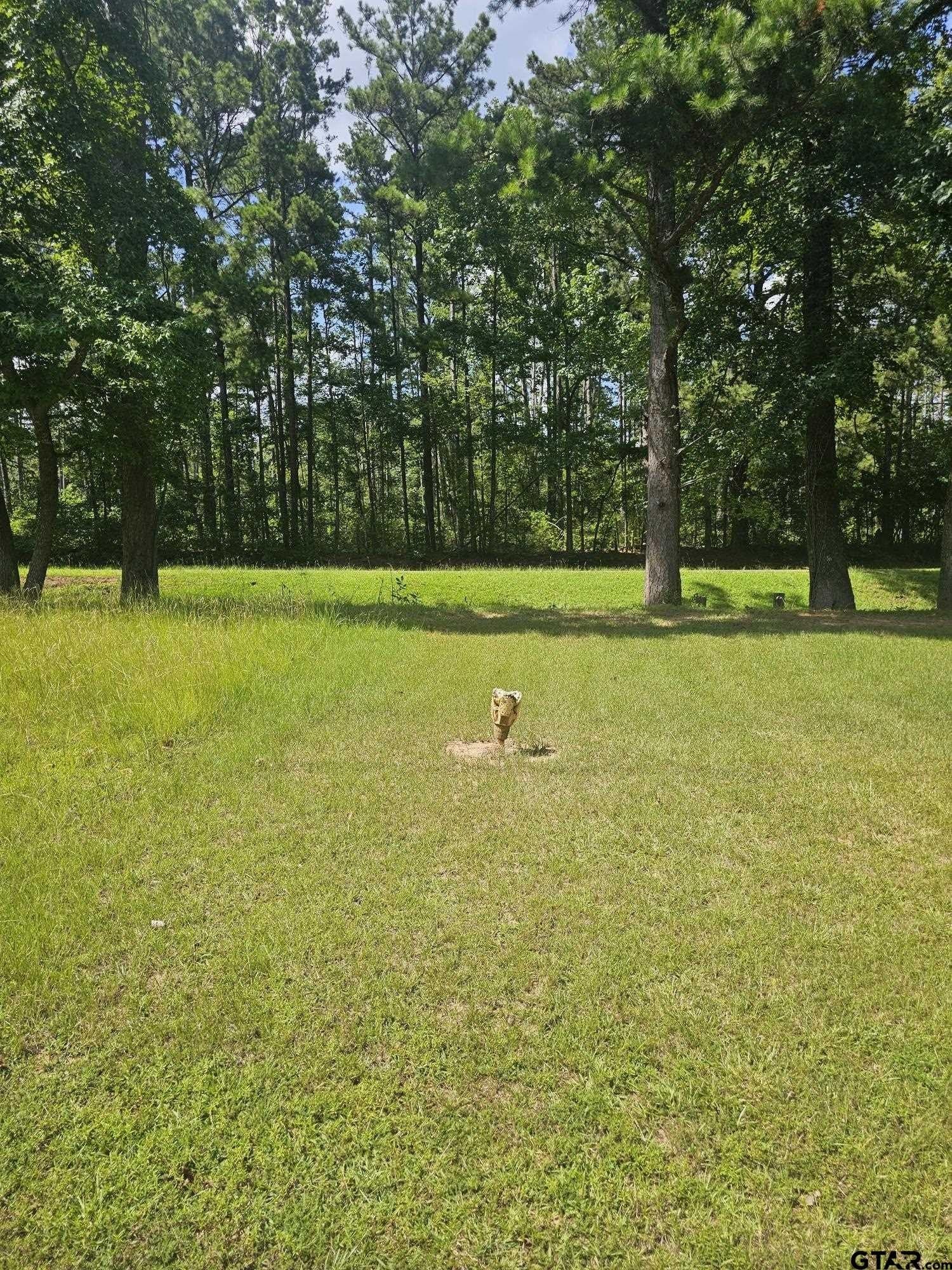 12.02 acres in Rusk County - photo 5