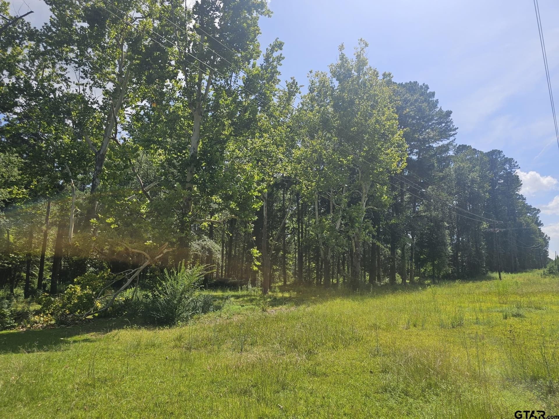 12.02 acres in Rusk County - photo 6