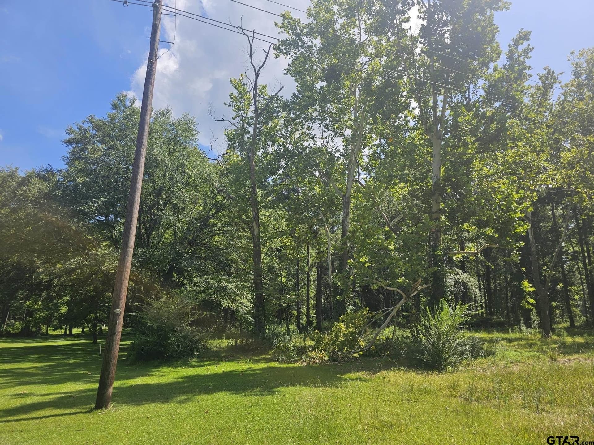 12.02 acres in Rusk County - photo 7