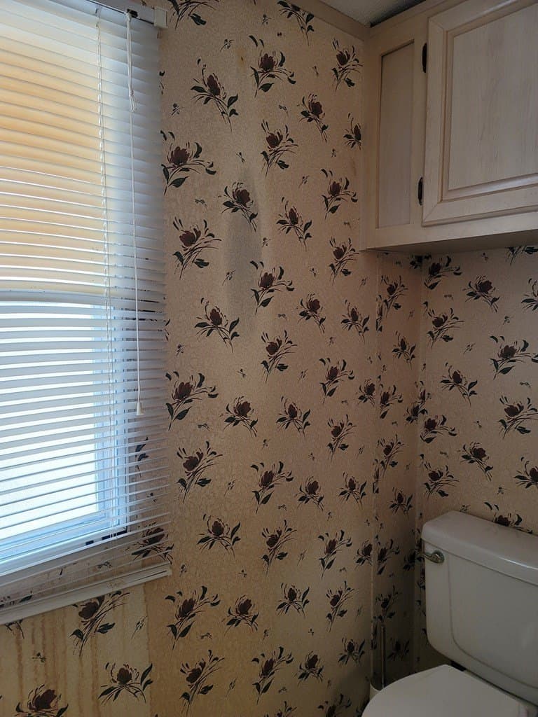 10 acres in Pecos County - photo 4