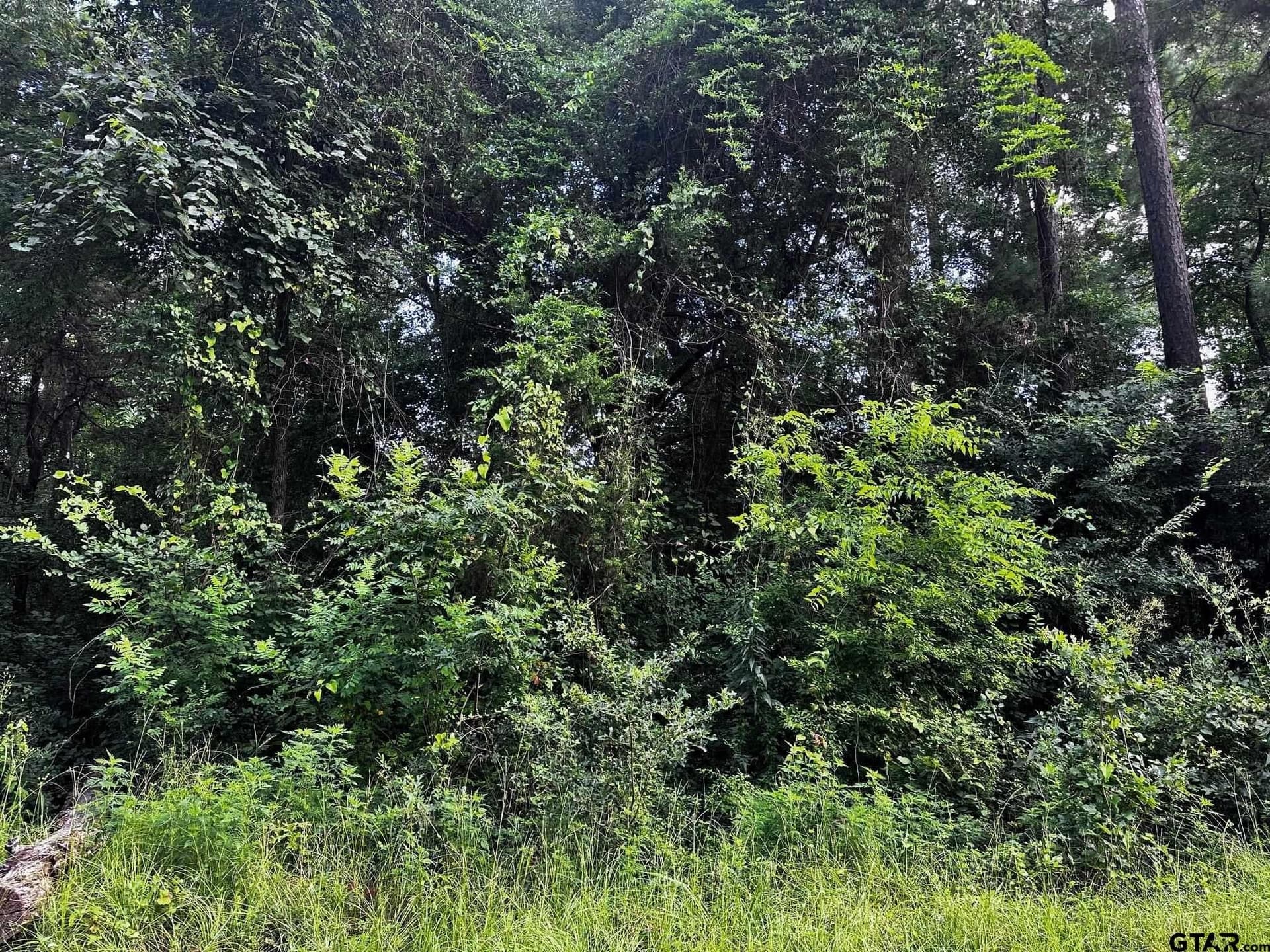 0.37 acres in Cherokee County - photo 4