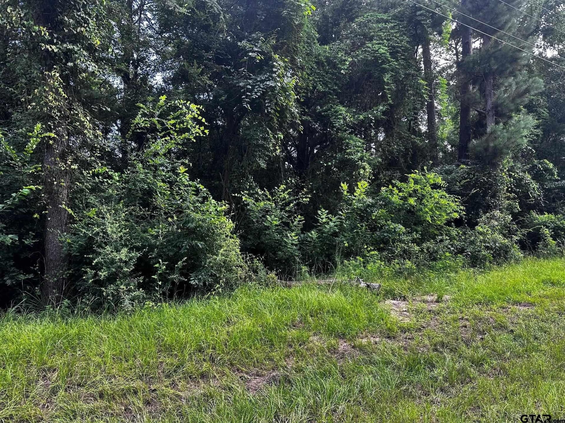 0.37 acres in Cherokee County - photo 2