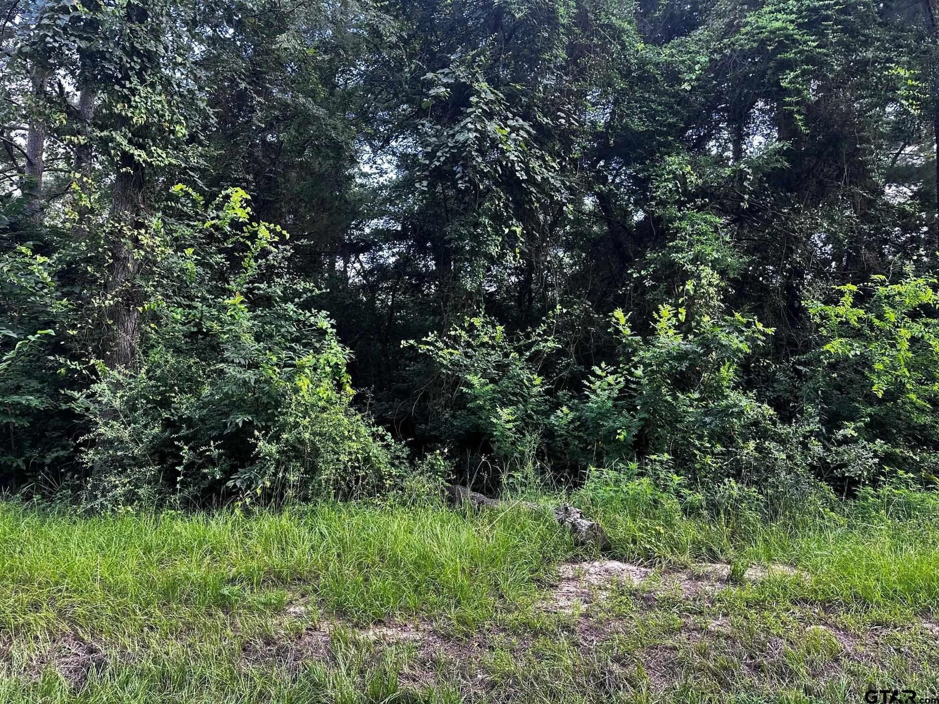 0.37 acres in Cherokee County - photo 3