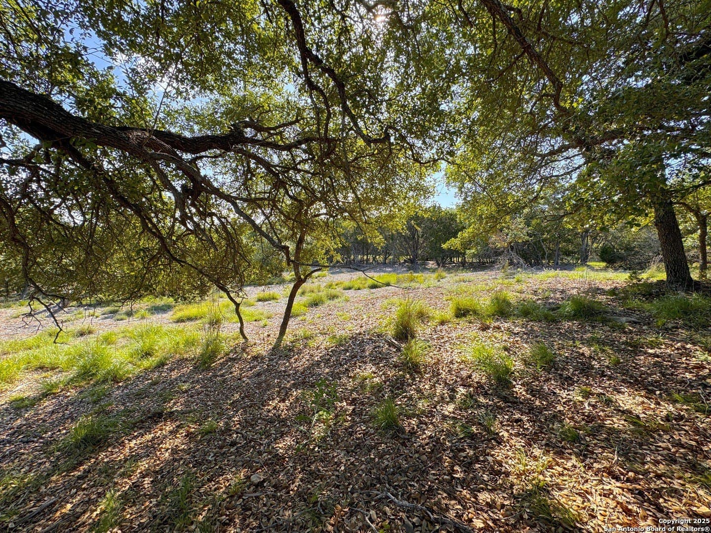 1.04 acres in Comal County - photo 5