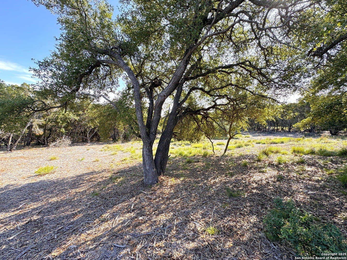 1.04 acres in Comal County - photo 4