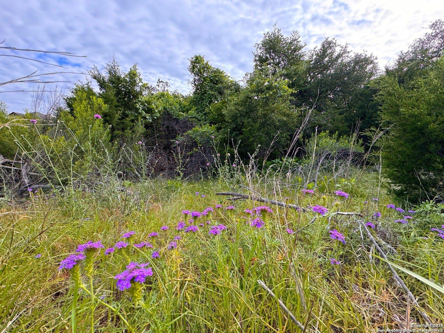 1.04 acres in Comal County - photo 3