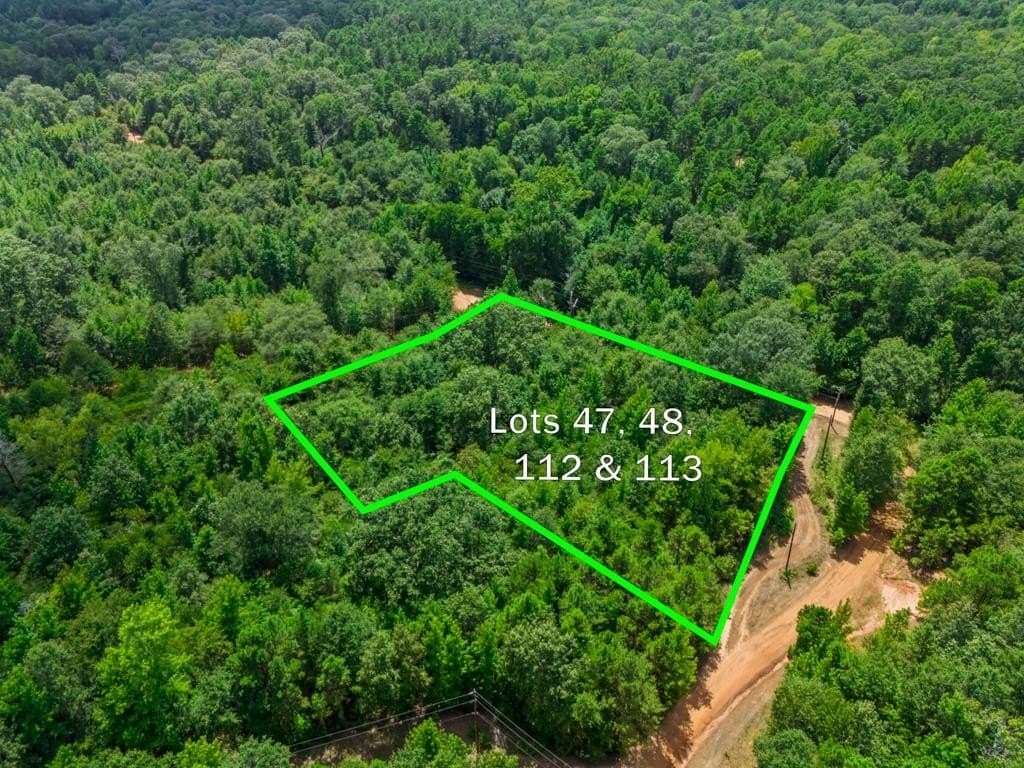 0.9 acres in Wood County - photo 5