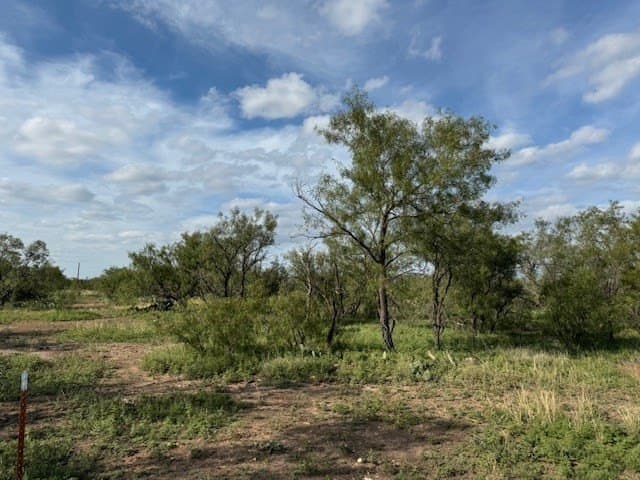 5 acres in Tom Green County - photo 2