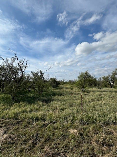 5 acres in Tom Green County - photo 7