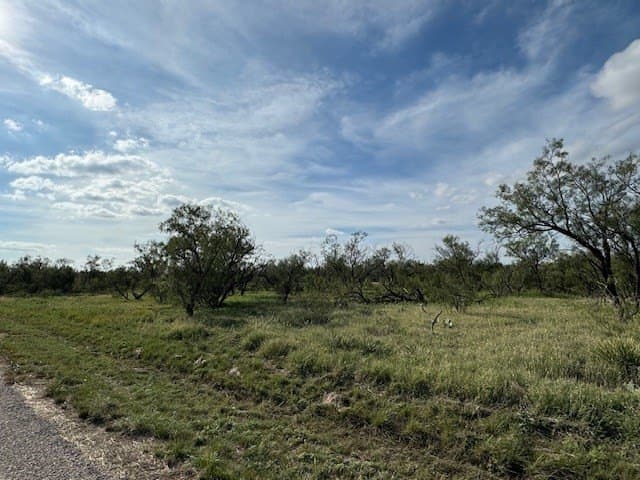 5 acres in Tom Green County - photo 6