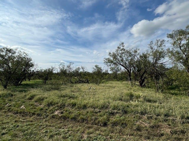 5 acres in Tom Green County - photo 5