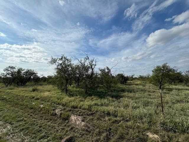 5 acres in Tom Green County - photo 8