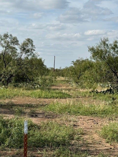 5 acres in Tom Green County - photo 3