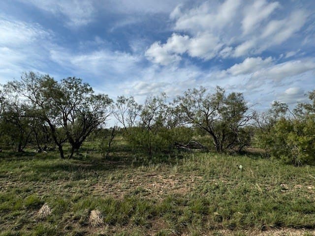 5 acres in Tom Green County - photo 4