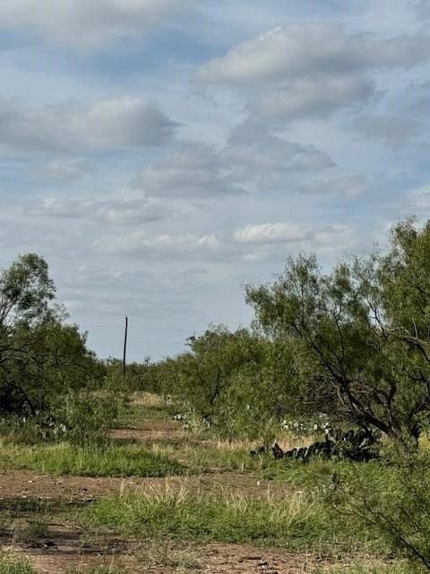 5 acres in Tom Green County - photo 10