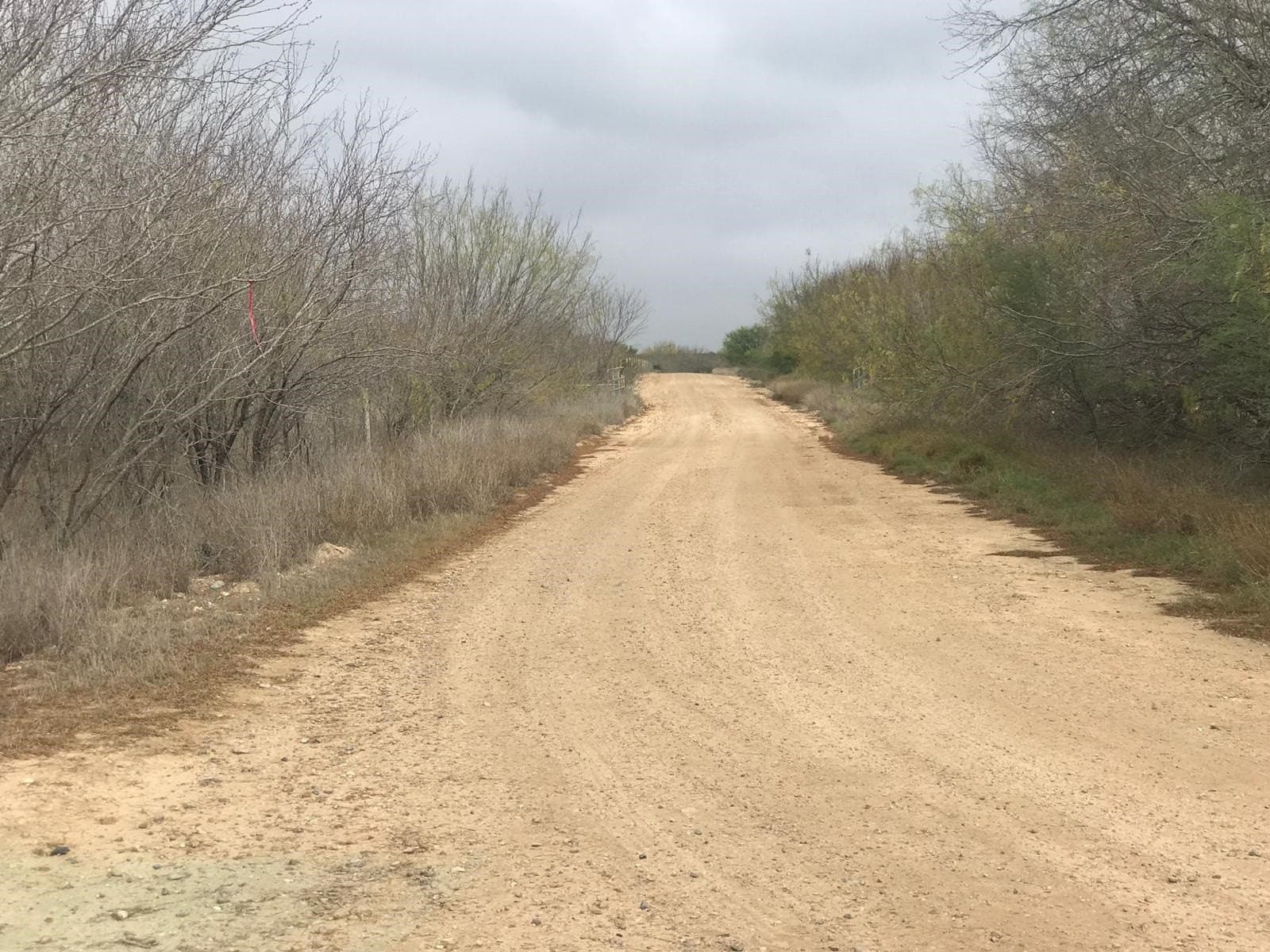 12.97 acres in LA SALLE County - photo 3