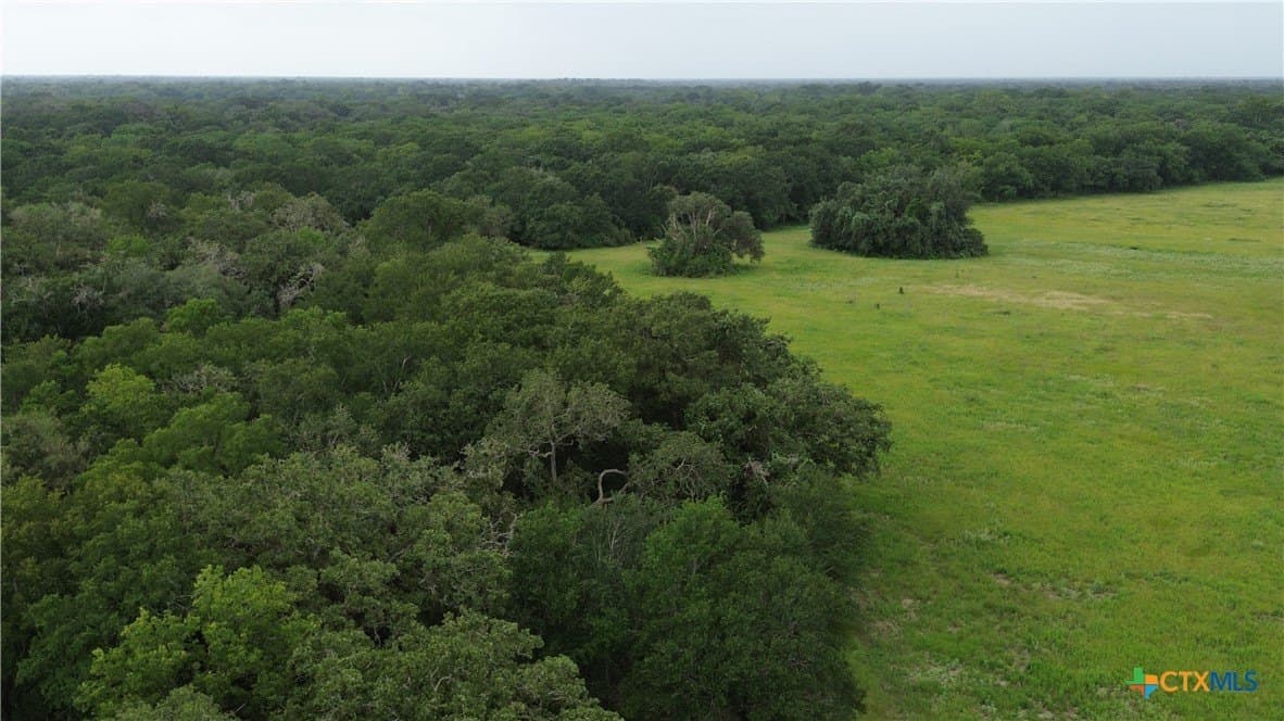 61.16 acres in Lavaca County - photo 36