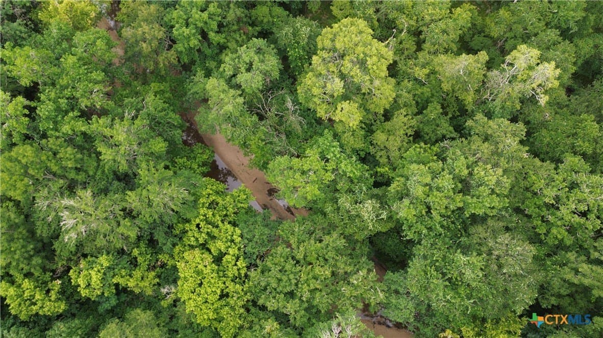 61.16 acres in Lavaca County - photo 41