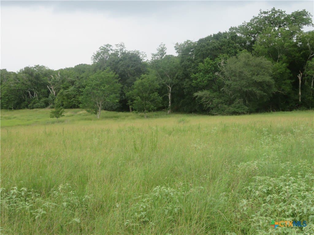 61.16 acres in Lavaca County - photo 4